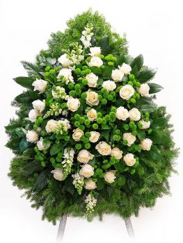 Biała Róża z zielonym santini