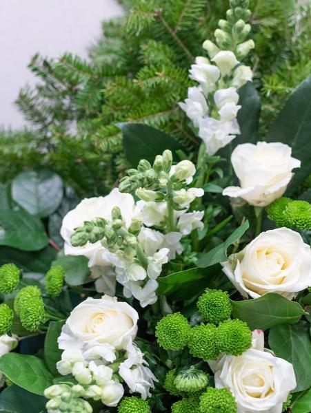 Biała Róża z zielonym santini